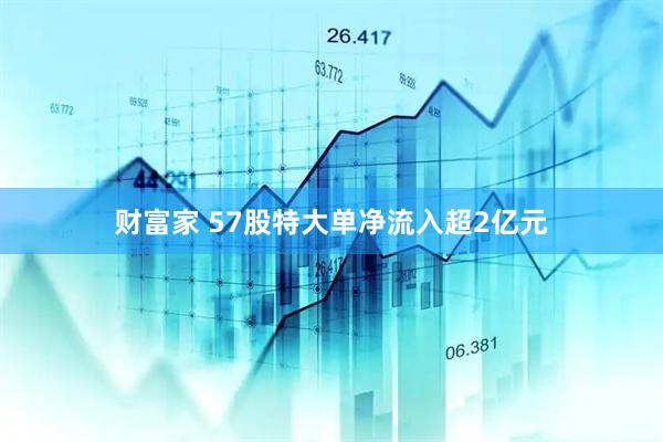 财富家 57股特大单净流入超2亿元
