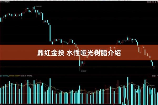 鼎红金投 水性哑光树脂介绍