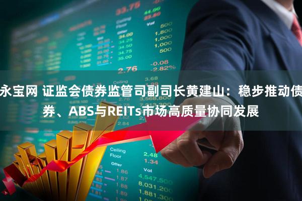 永宝网 证监会债券监管司副司长黄建山：稳步推动债券、ABS与REITs市场高质量协同发展
